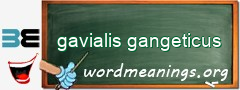 WordMeaning blackboard for gavialis gangeticus